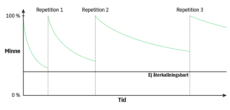 Minneskurvor vid regelbunden repetition