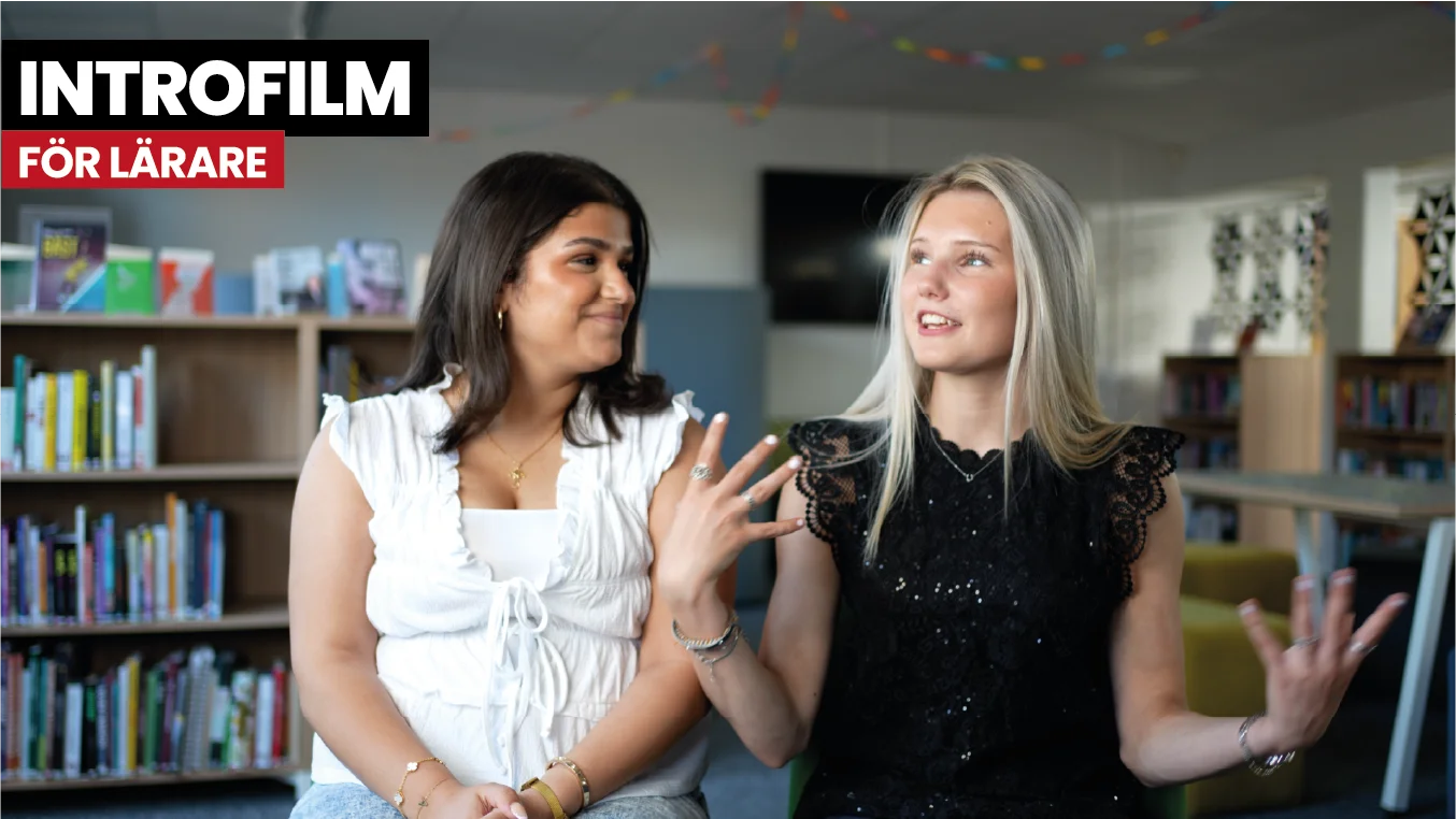 Automatte app demonstration